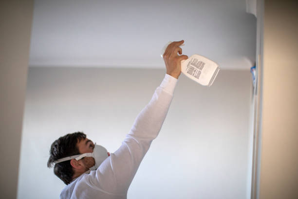 Best Residential Mold Remediation in Fairbury, IL