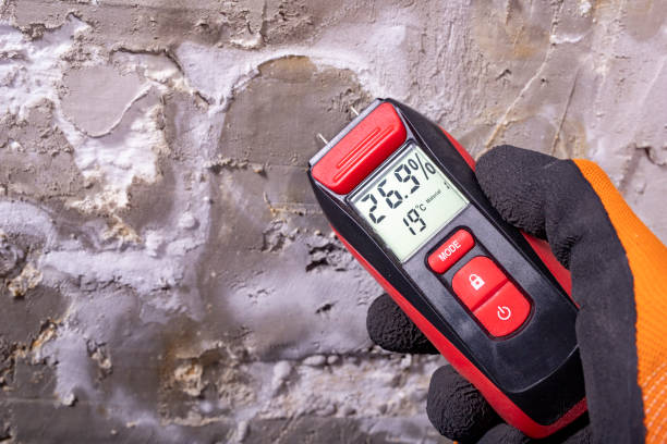 Best Health and Safety Mold Remediation in Fairbury, IL
